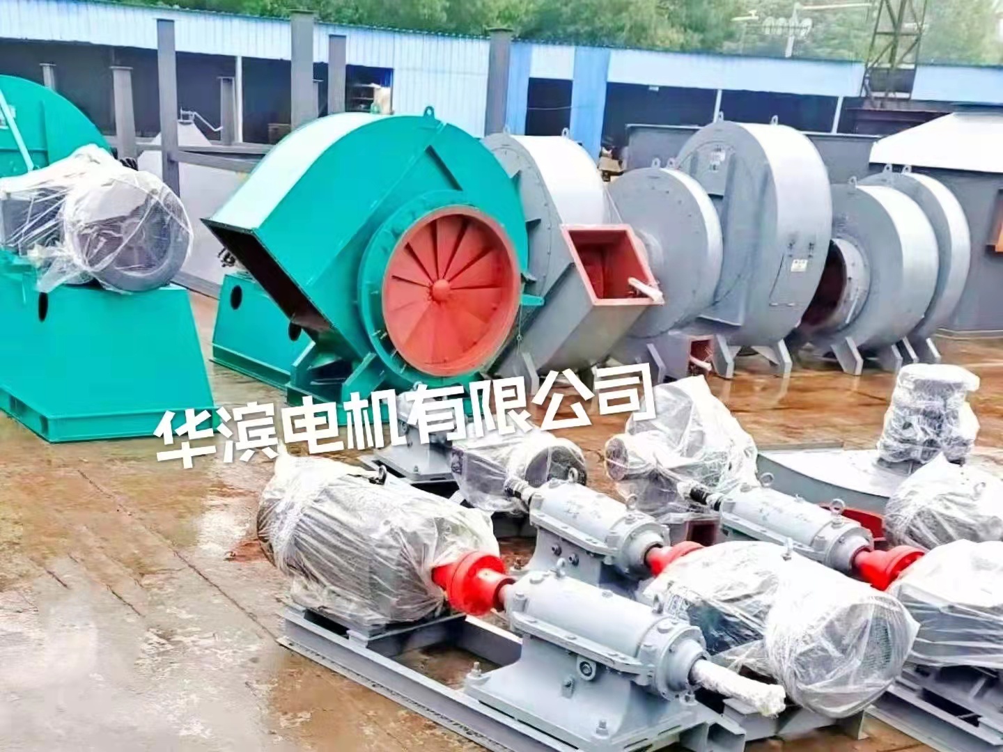 最新通知 | 兩部門(mén)：加快淘汰落后低效電機(jī)，加大高效節(jié)能電機(jī)應(yīng)用力度